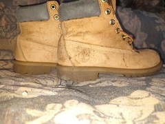 TIMBERLAND Classic 6″ Junior Waterproof Boots /Wheat Nubuck (12909M), Size 5.5