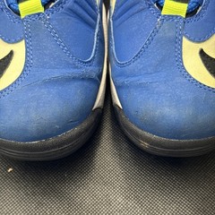 Nike Air Griffey Max 1 Varsity Royal Blue Volt DJ5162-400 YOUTH Size 6.5Y No Box