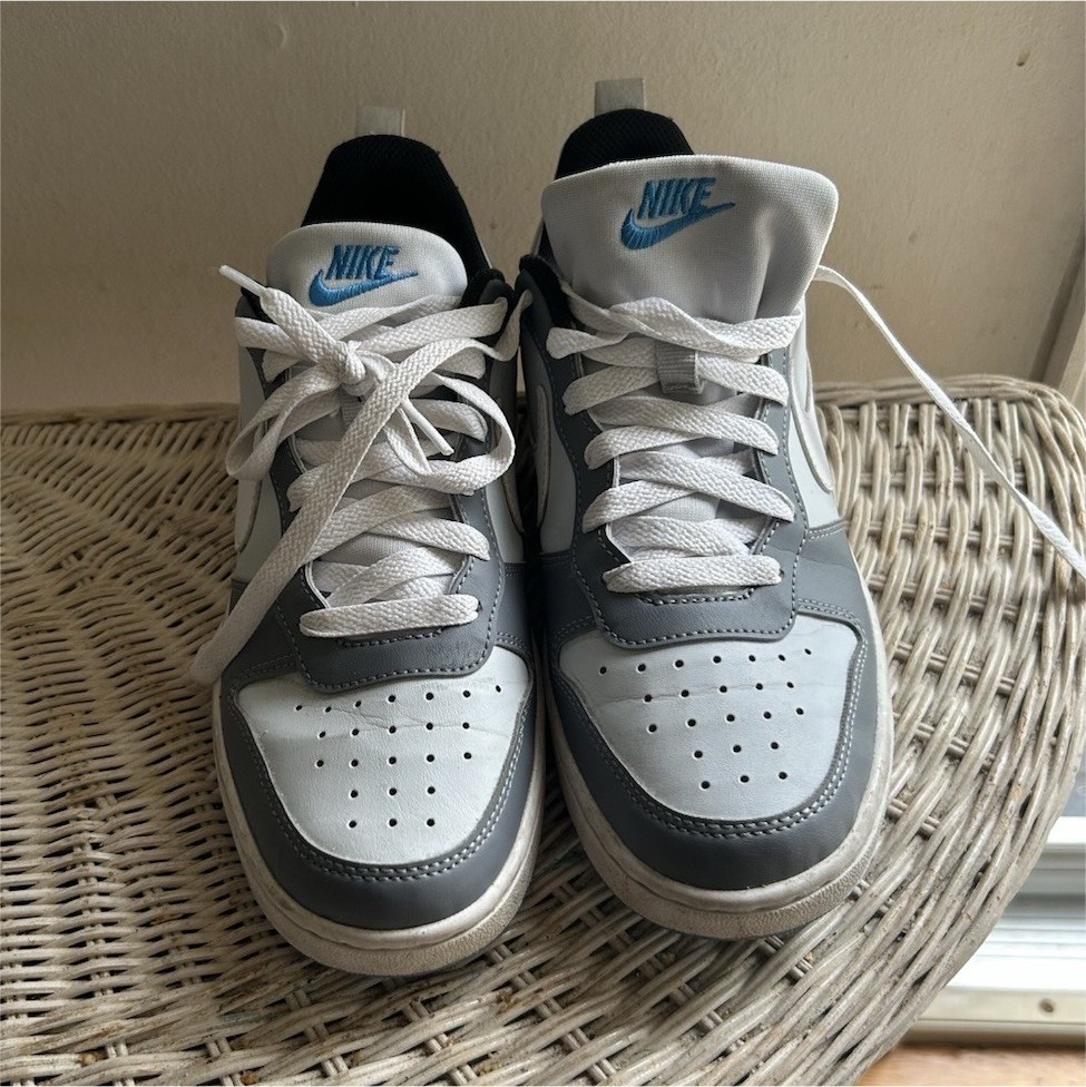 Nike Dunk Low Gray White Blue Unisex Kids Sneaker 6Y DV5456-019