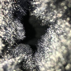 Cat & Jack Boots Youth 6 Constance Faux Fur Lined Glitter Winter Shearling Black