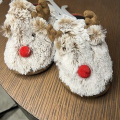 Unisex Kids Holiday Red Nose Rudolf Scuff Slippers – Wondershop 11-12 Brown