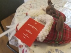 Children’s Holiday Slippers Size 9 – 10. Red Plaid With Reindeer Antlers NEW