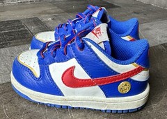 Nike Dunk Next Nature Superhero Toddler Sneakers FD0675-400 – Size 6C