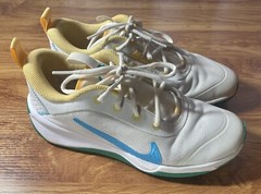 Nike Omni Multi-Court GS ‚Spring Colors‘ FJ7719-141 Running Shoes Youth Size 6Y