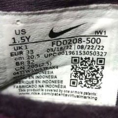 NIKE LEBRON XX SE (PS) *YOUNG HEIRS* VIVID PURPLE FD0208-500 SIZE 1.5Y