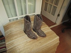Wildflowers Brown Square Toe Wings Cross Western Boots Youth size 13 Mex 20