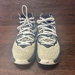 Nike Boys Shoes LeBron 19 SE Mid White Metallic Gold Size 7Y