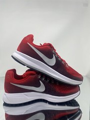 Nike Zoom Pegasus 34