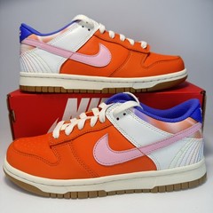 Nike Dunk Low Everything You Need GS Size 5 Fits Woman’s 6.5 FN0600 801