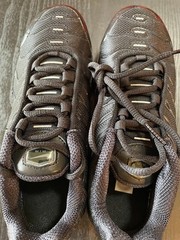 Air Max Plus GS Sneakers