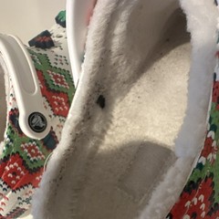Crocs White Lined Christmas Holiday Unisex Kids Clog Shoes with Festive Accents