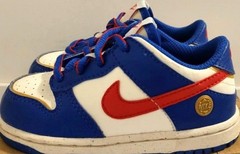 Nike Dunk Low Next Nature Superhero (TD)