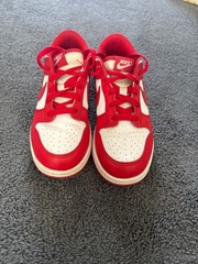 nike dunk low 2.5 youth