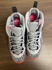 Nike Foamposite (GS) Elephant Print 6.5Y