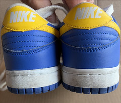 Nike Dunk Low (GS) Kid’s Style Blue & Yellow Size 7Y EUR 40 UK 6