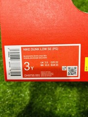 Nike Dunk Low SE Black Blue PS Multi Sizes DH9755-001