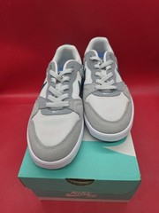 Nike SB Alleyoop GS Particle Grey Geode Teal Size 6Y New w/Box