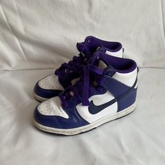 Nike Dunk High Electro DH9753-100 Purple Sz 13 C Youth VGUC
