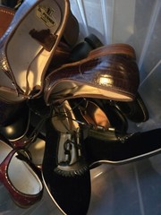 Dr Posner’s Posie’s & Flying Ace’s scient Childrens (Victorian) (Saddle Shoes