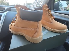 Size 3 Timberlands ( Brand New )