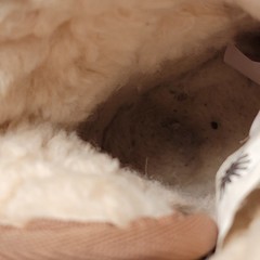 Ugg Boots Mini Bailey Snaps Chestnut Kids Size 9 US 26 EU