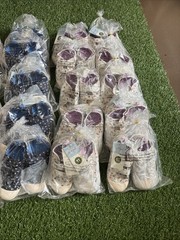 Cat & Jack Casual Shoe Multicolor Check Hook & Loop Qty 35