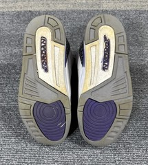 Nike Air Jordan 3 Retro Dark Iris White Purple Black Shoe DM0966-105 Youth GS 3Y