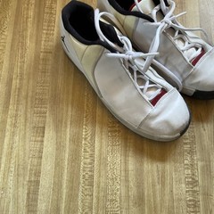 Jordan TE 3 Low 3Y