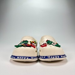 Dinosaur Clogs White Blue Kids Slip On Comfort Shoes Youth Size US 11 EU 29
