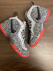 Nike Foamposite (GS) Elephant Print 6.5Y