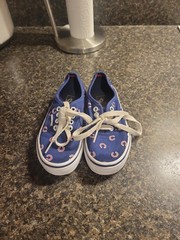 VANS Authentic MLB Chicago Cubs KIDS Size 11.5 Athletic Low Top Skate Shoes.