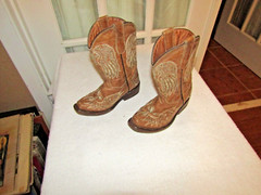 TEXAS COUNTRY Brown Snip Toe Wings & Cross Western Boots Brown Kids sz 10