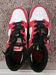 Nike SB Dunk Pro Low