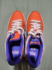 Nike Dunk Low SE GS ‚Everything You Need‘ Kids Sz 5y FN0600 801