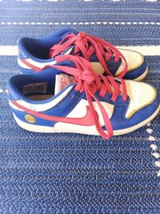 Nike Dunk Low Next Nature Boys Size 2Y Blue Athletic Shoes Sneakers FD0673-400