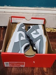 Nike Dunk Low GS White Smoke Grey Iron Gum 3M FV0374-100 Size 5y
