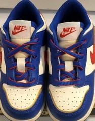 Nike Dunk Low Next Nature Superhero (TD)