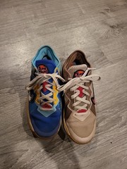 Size 4.5 (GS) – Nike LeBron 18 x Space Jam Low Wile E. x Roadrunner