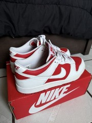 Champion Red Dunks Size 7.0