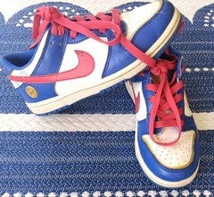 Nike Dunk Low Next Nature Boys Size 2Y Blue Athletic Shoes Sneakers FD0673-400