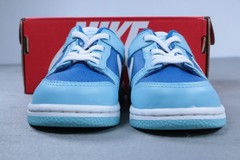 Nike Dunk Low TD Argon Blue Toddler Size 9C DV2634-400 Kids Sneakers New
