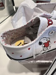 New Peanuts Snoopy Hearts White Canvas Lace-Up Shoes – New In Box – Size 11 Kids