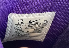 Nike Dunk High Electro DH9753-100 Purple Sz 13 C Youth VGUC