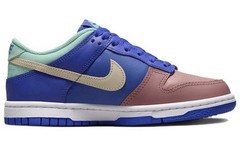Nike Dunk Low SE GS ‚Salmon Toe‘ Youth Sneaker DZ2873-400 Size 4.5Y