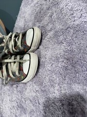 Converse ALL Stars Chucks DinoVerse Dinosaurs Hi-tops Classic US 3/EU 35/UK 2.5
