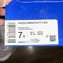 Nike Giannis Immortality 2 (GS) Unisex Kids Basketball Shoes White/Blue/Pink 7Y
