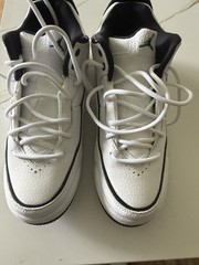 Air Jordan Courtside 23