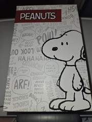 Peanuts® Snoopy White Canvas/Hearts Lace-Up Sneakers Toddler Size 8 NIB