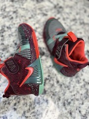 Nike Le Bronw