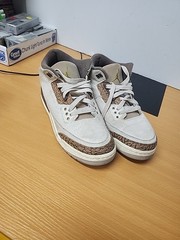 7y Low Jordan 3 Retro Palomino
